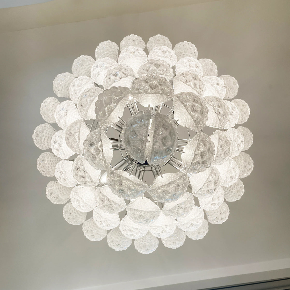 Transparent Glass Petals Chandelier - view 23 | Metavaya