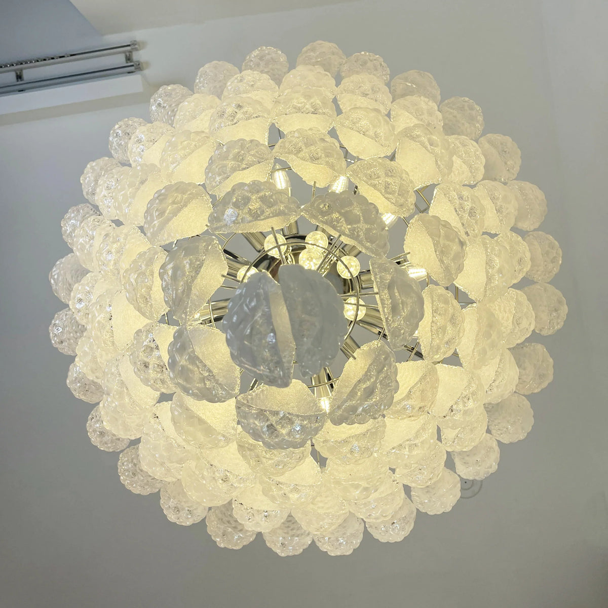 Transparent Glass Petals Chandelier - view 22 | Metavaya