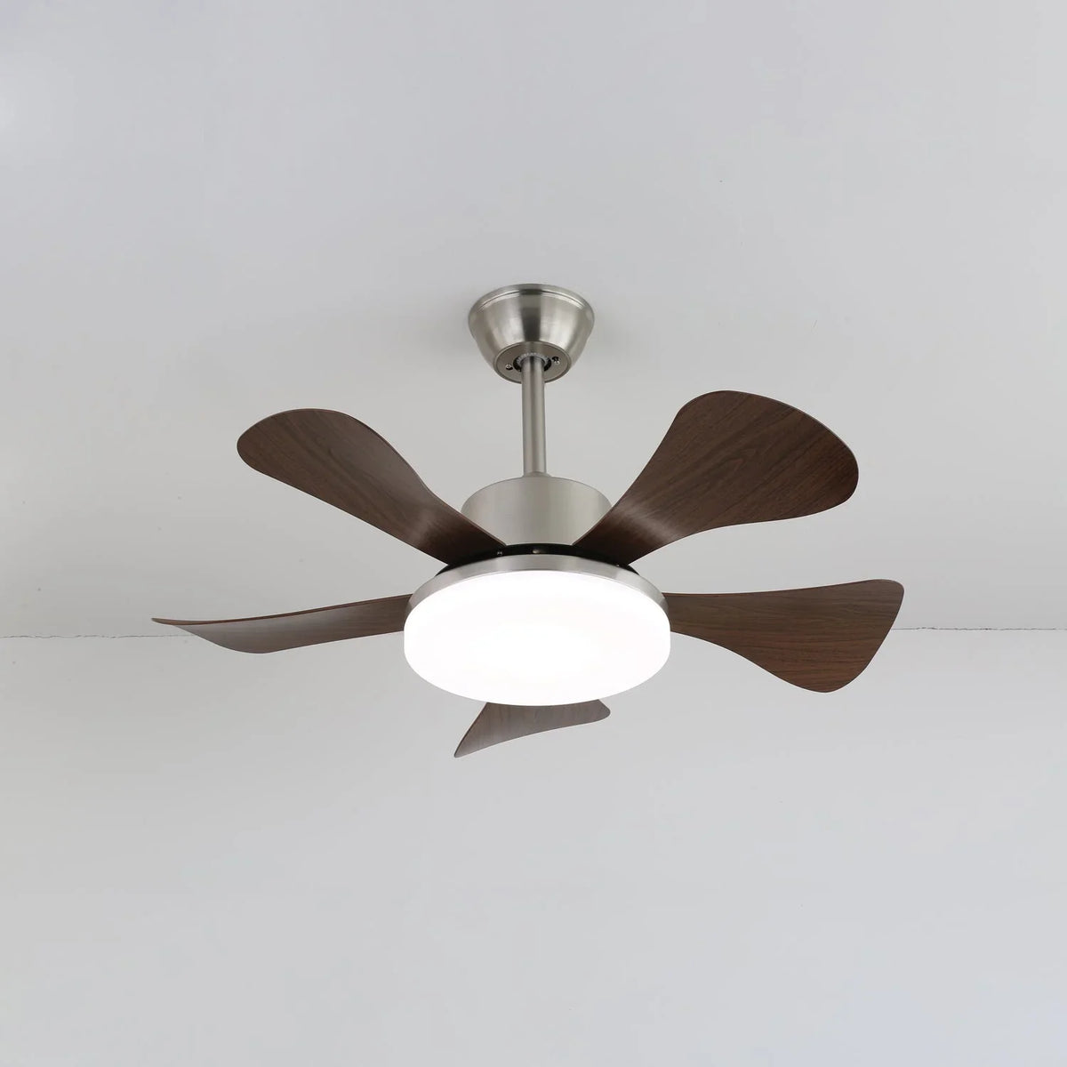 Vivian Ceiling Fan Light - view 5 | Metavaya