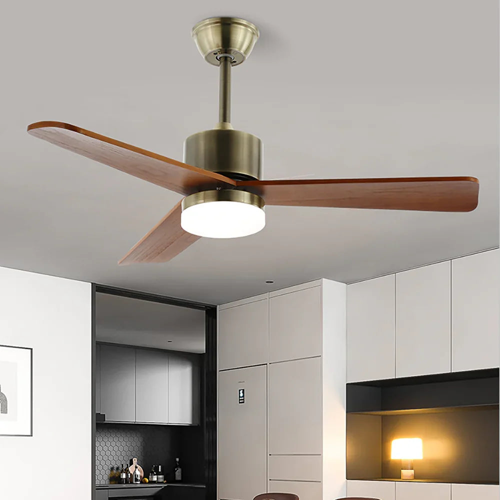 Zephyr Wood Acrylic Ceiling Fan Light - view 2 | Metavaya