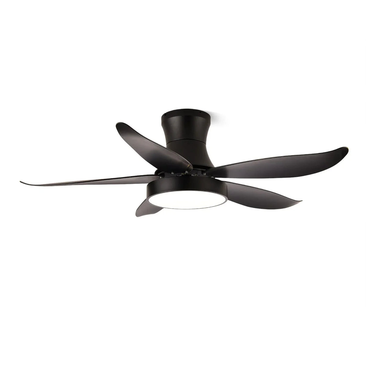 Zephyr Noir Ceiling Fan Light | Metavaya
