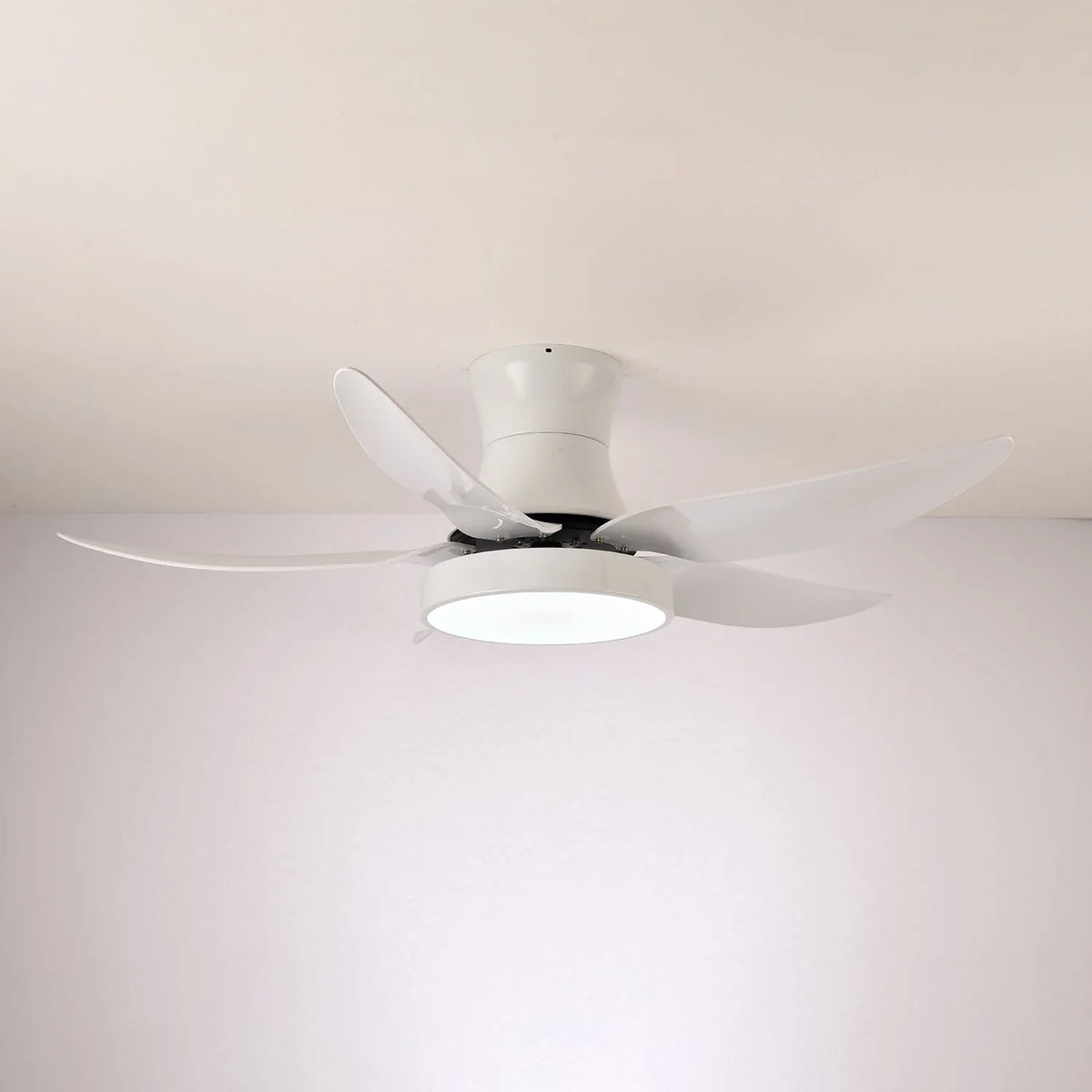 Zephyr Noir Ceiling Fan Light - view 3 | Metavaya
