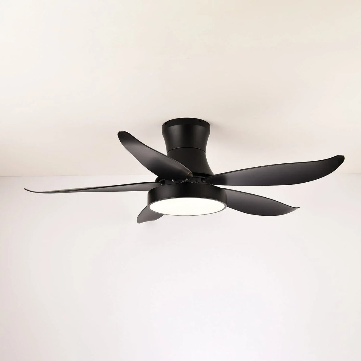 Zephyr Noir Ceiling Fan Light - view 6 | Metavaya