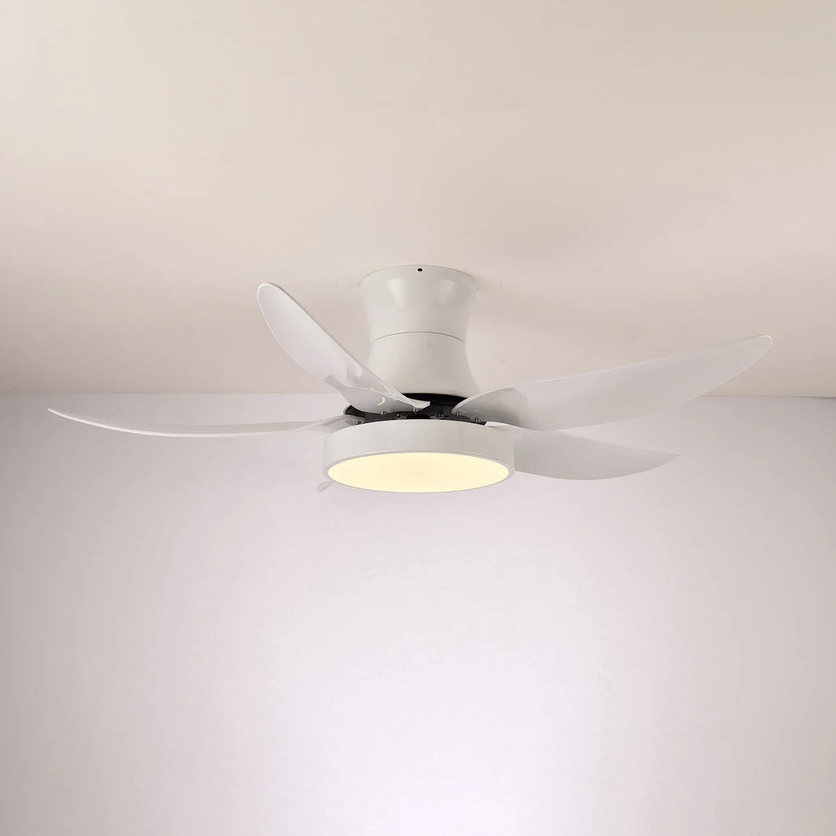 Zephyr Noir Ceiling Fan Light - view 7 | Metavaya