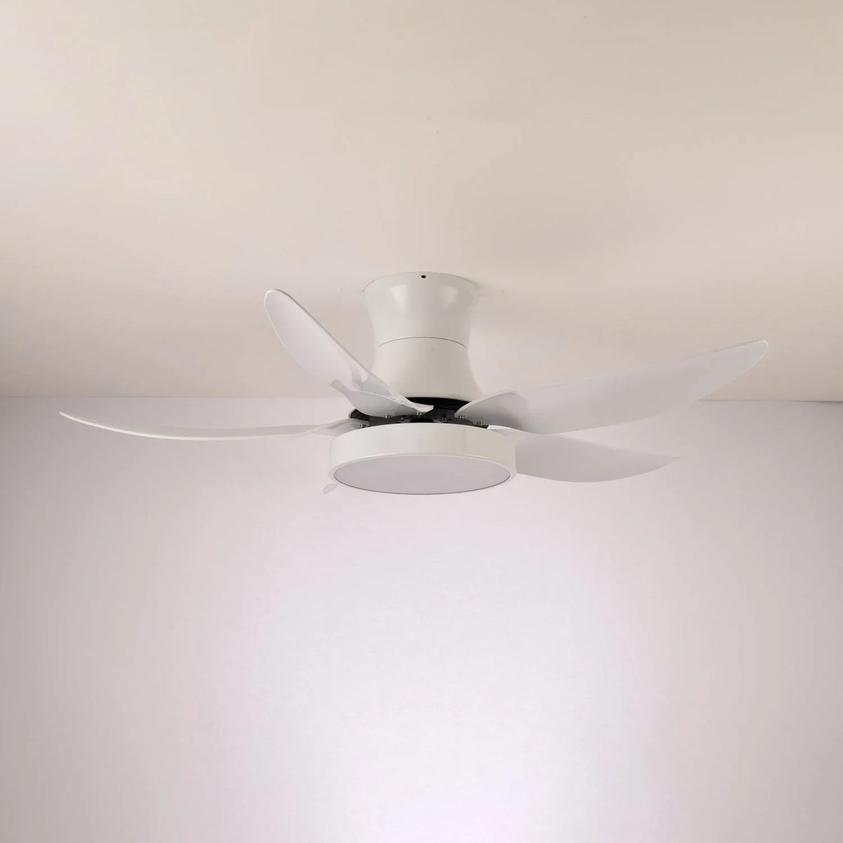 Zephyr Noir Ceiling Fan Light - view 8 | Metavaya