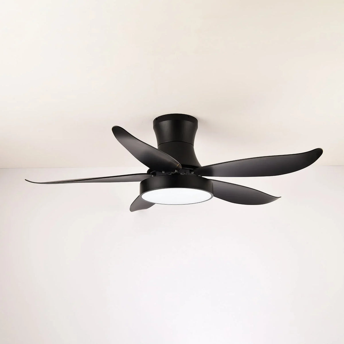 Zephyr Noir Ceiling Fan Light - view 2 | Metavaya