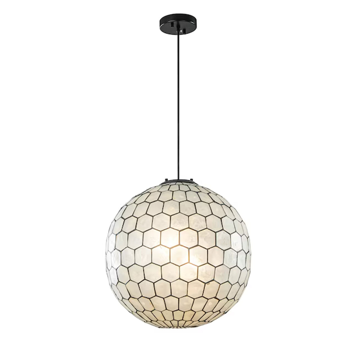 Coastal seashell globe pendant light with ceiling mount hardware, showing the full hanging assembly.