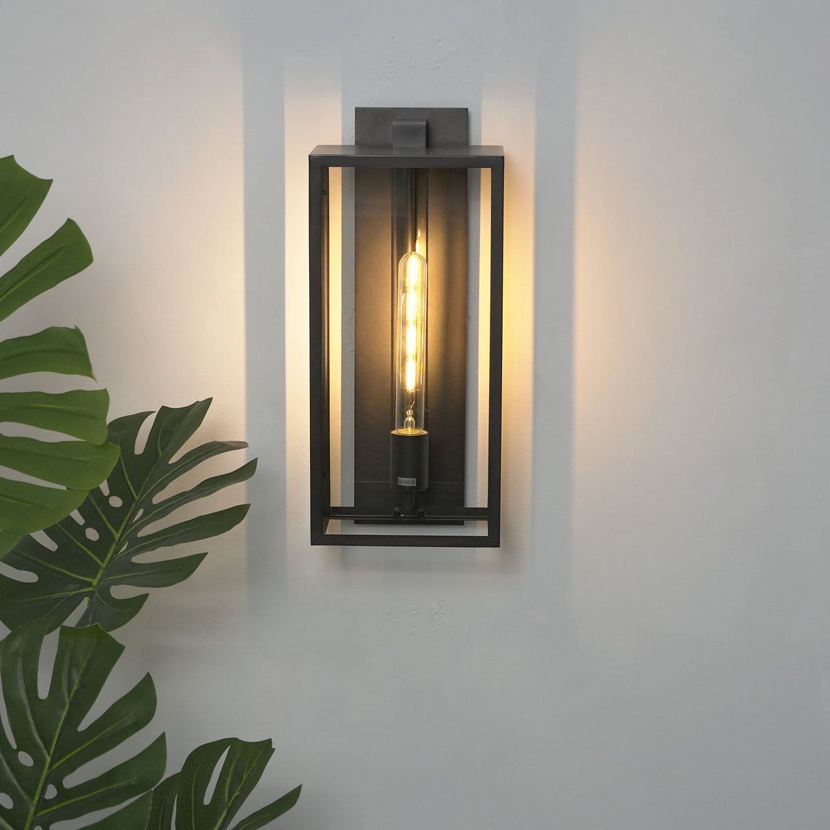 Single-bulb variant of the Faraday wall sconce mounted on a light wall with greenery.