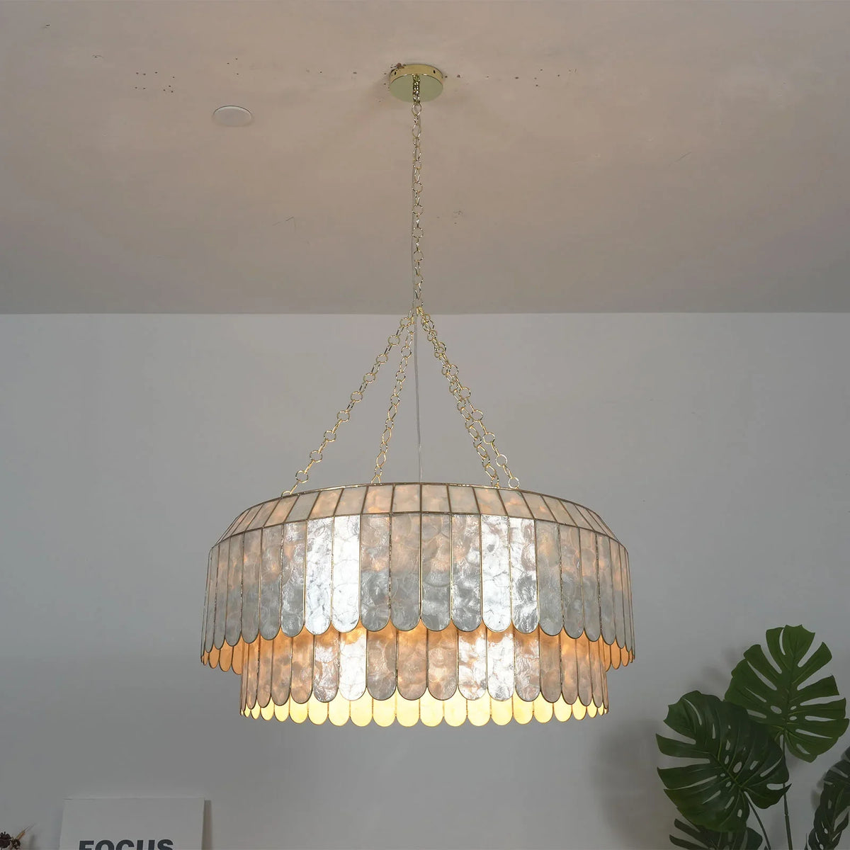 Light Luxury Shell Chandelier front view in a minimalist white room with plants