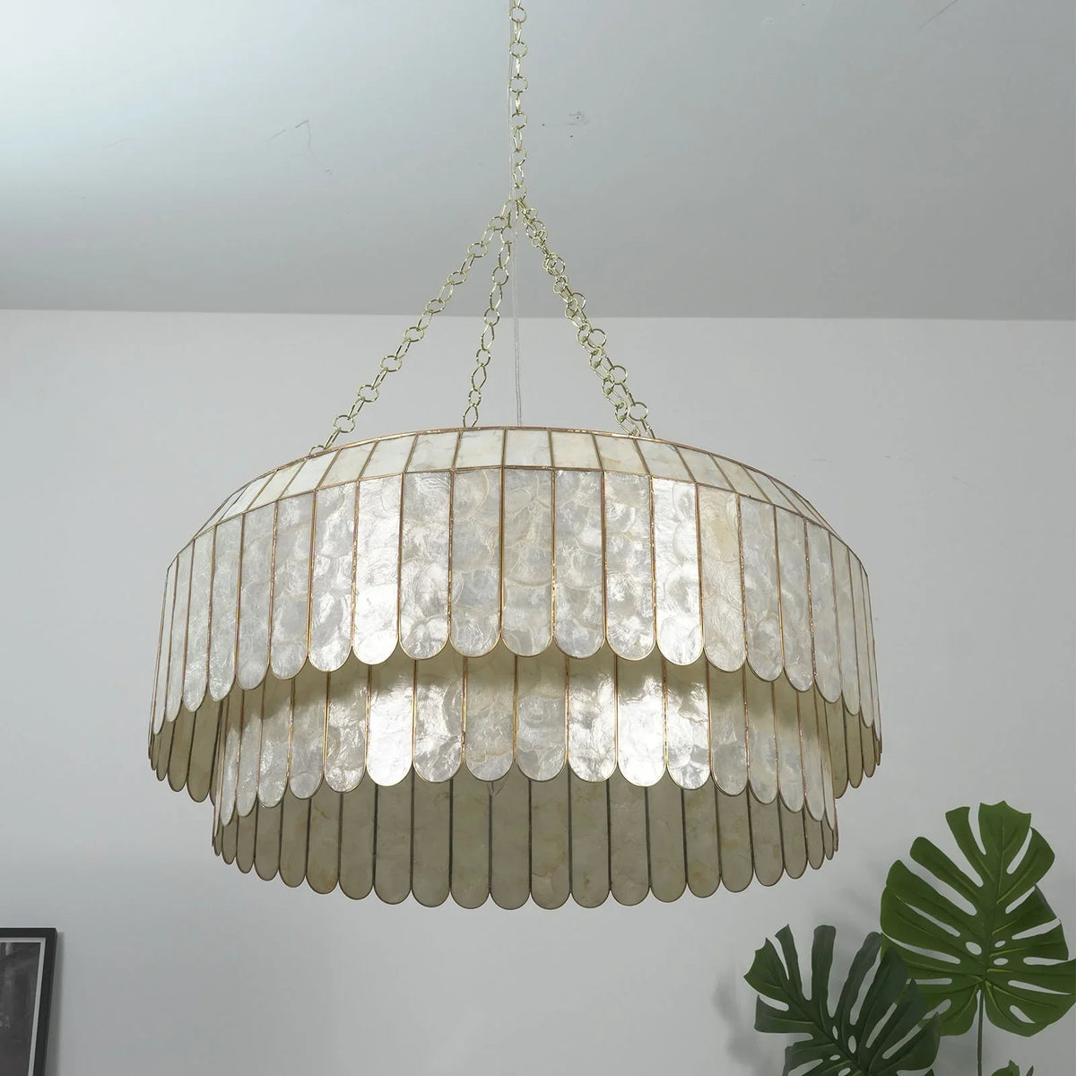 Large size Light Luxury Shell Chandelier in a bright white room with tropical plants