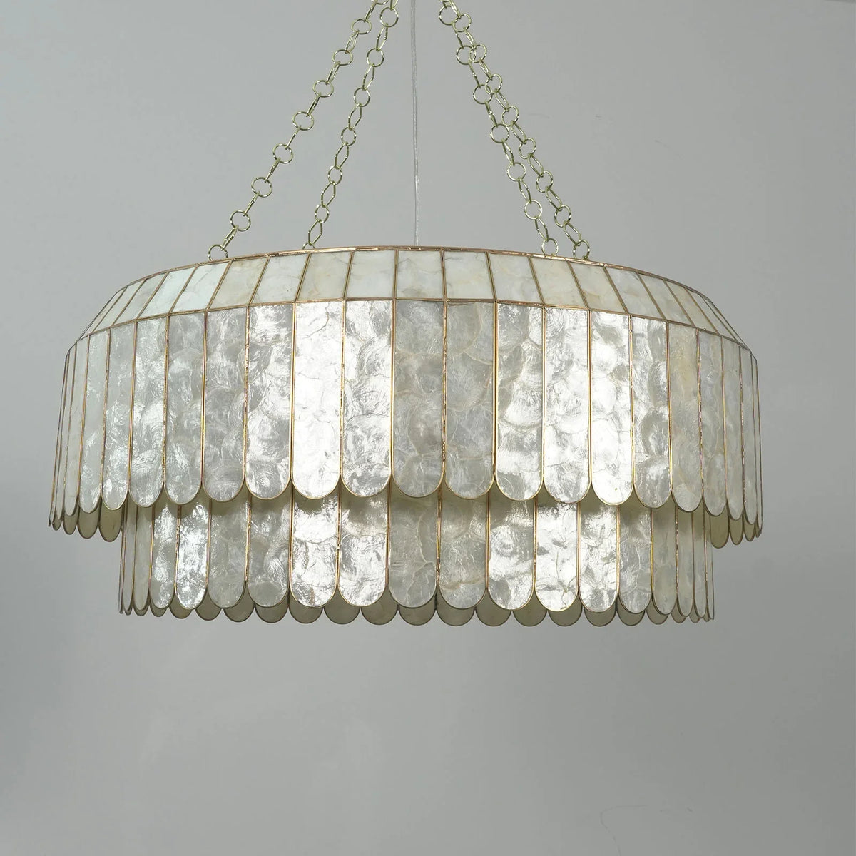 Silver-toned Light Luxury Shell Chandelier in a corner view with plants and white decor