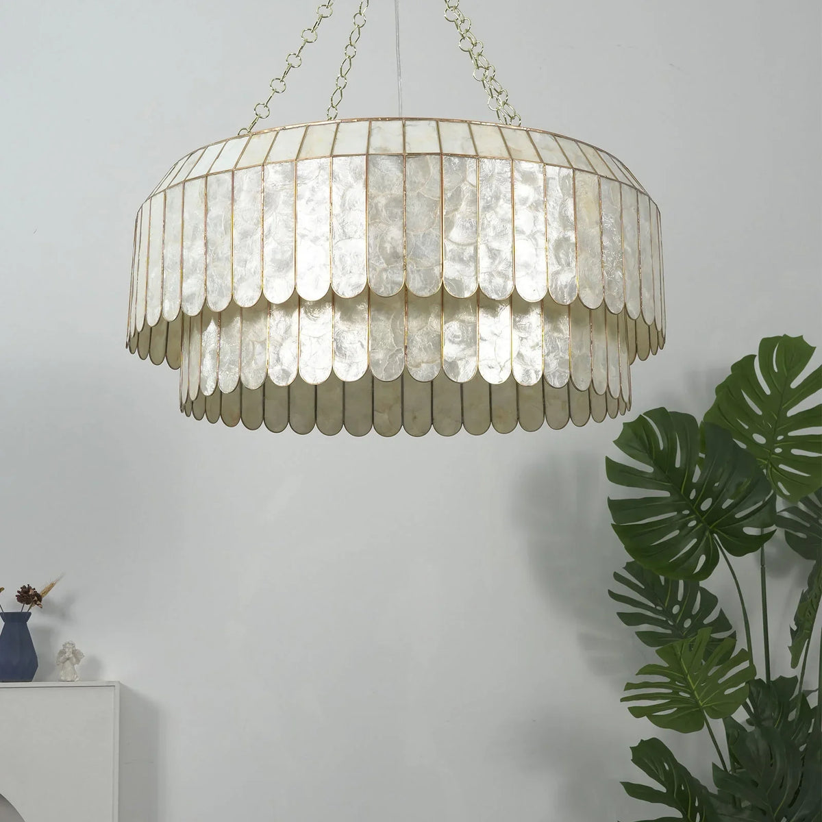 Small size Light Luxury Shell Chandelier front view in a minimalist white room