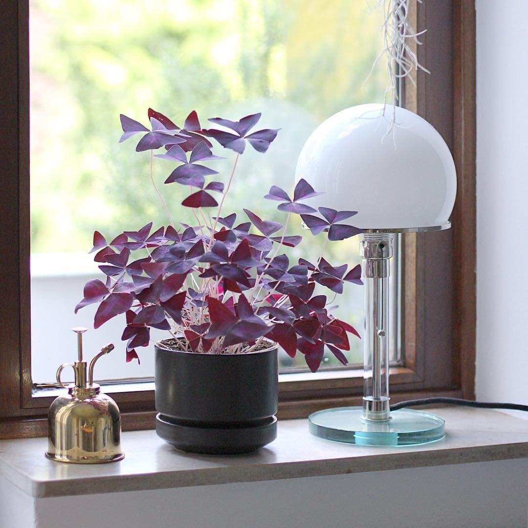 Metavaya Table lamp Bauhaus Table Lamp Shop Bauhaus Table Lamp Online
