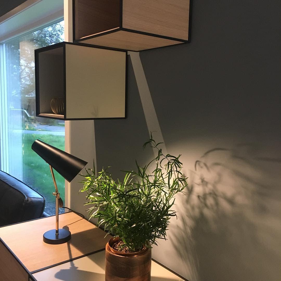 Metavaya Table lamp Birdy Table Lamp Birdy Table Lamp & Desk Lamp for Sale