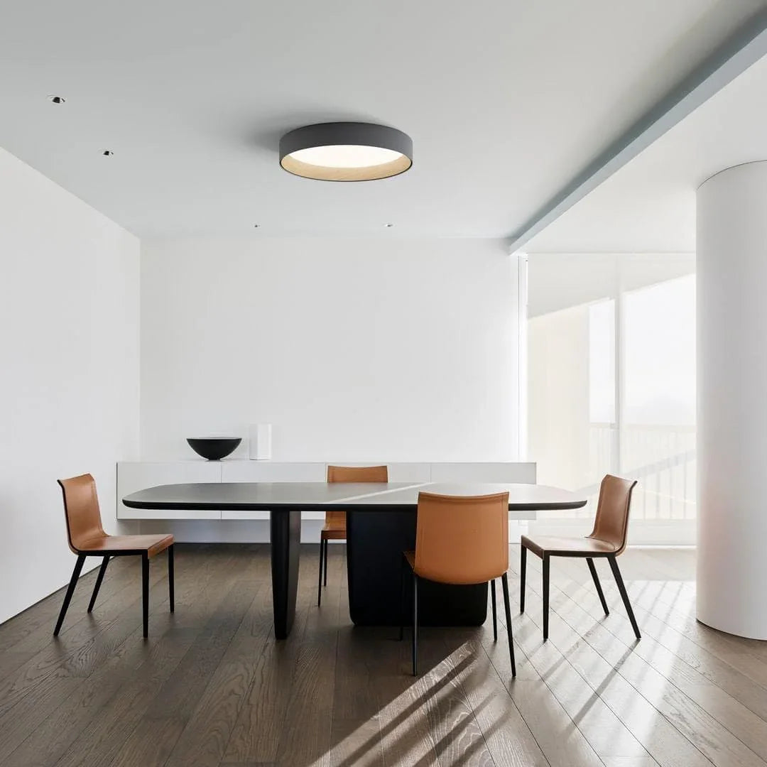 Metavaya Ceiling Lamp Duo Ceiling Lamp Duo Ceiling Lamp & Light Fixtures