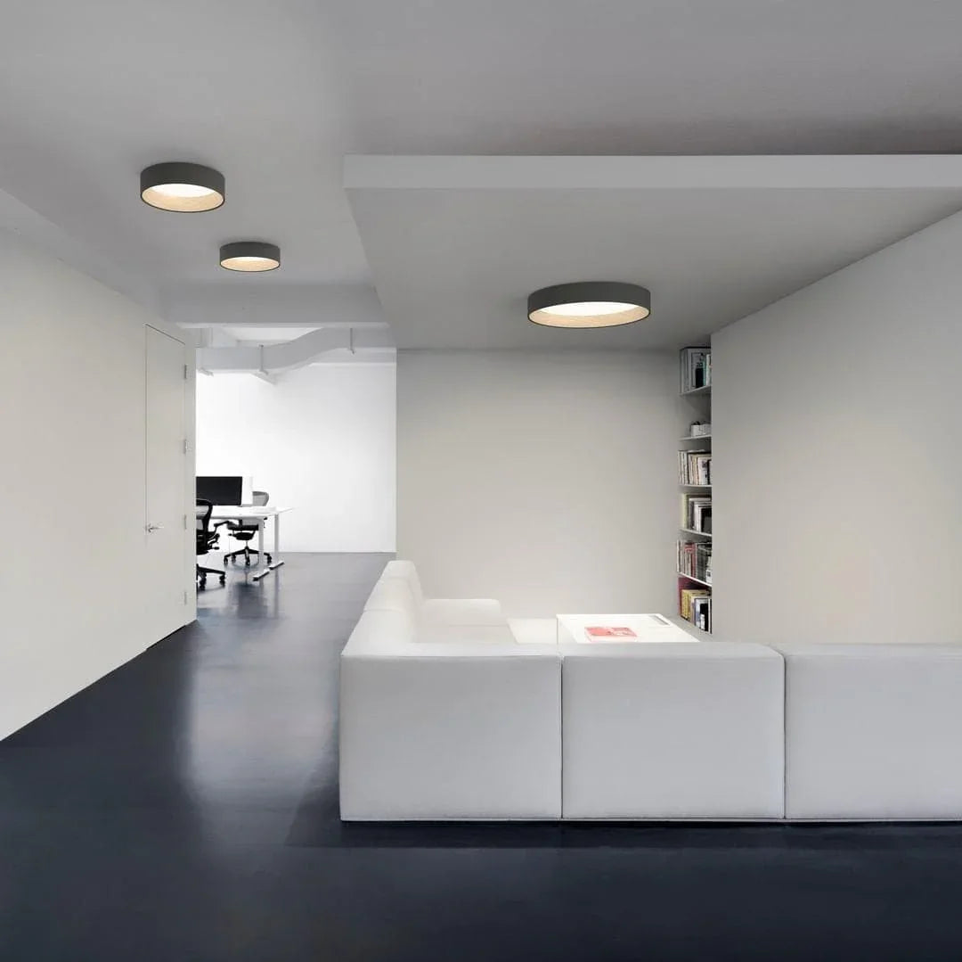 Metavaya Ceiling Lamp Duo Ceiling Lamp Duo Ceiling Lamp & Light Fixtures