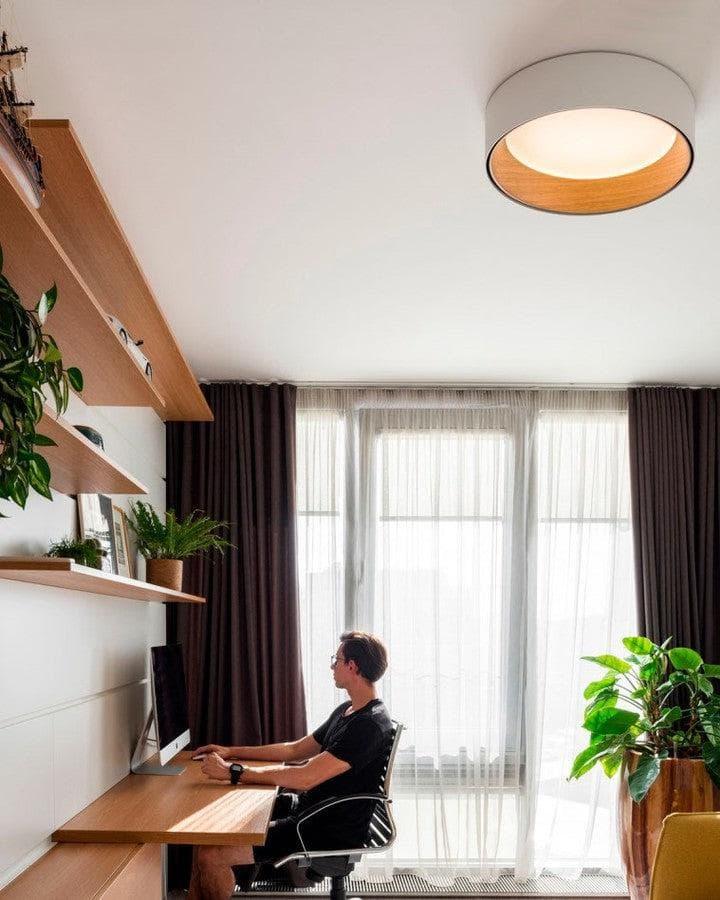 Metavaya Ceiling Lamp Duo Ceiling Lamp Duo Ceiling Lamp & Light Fixtures