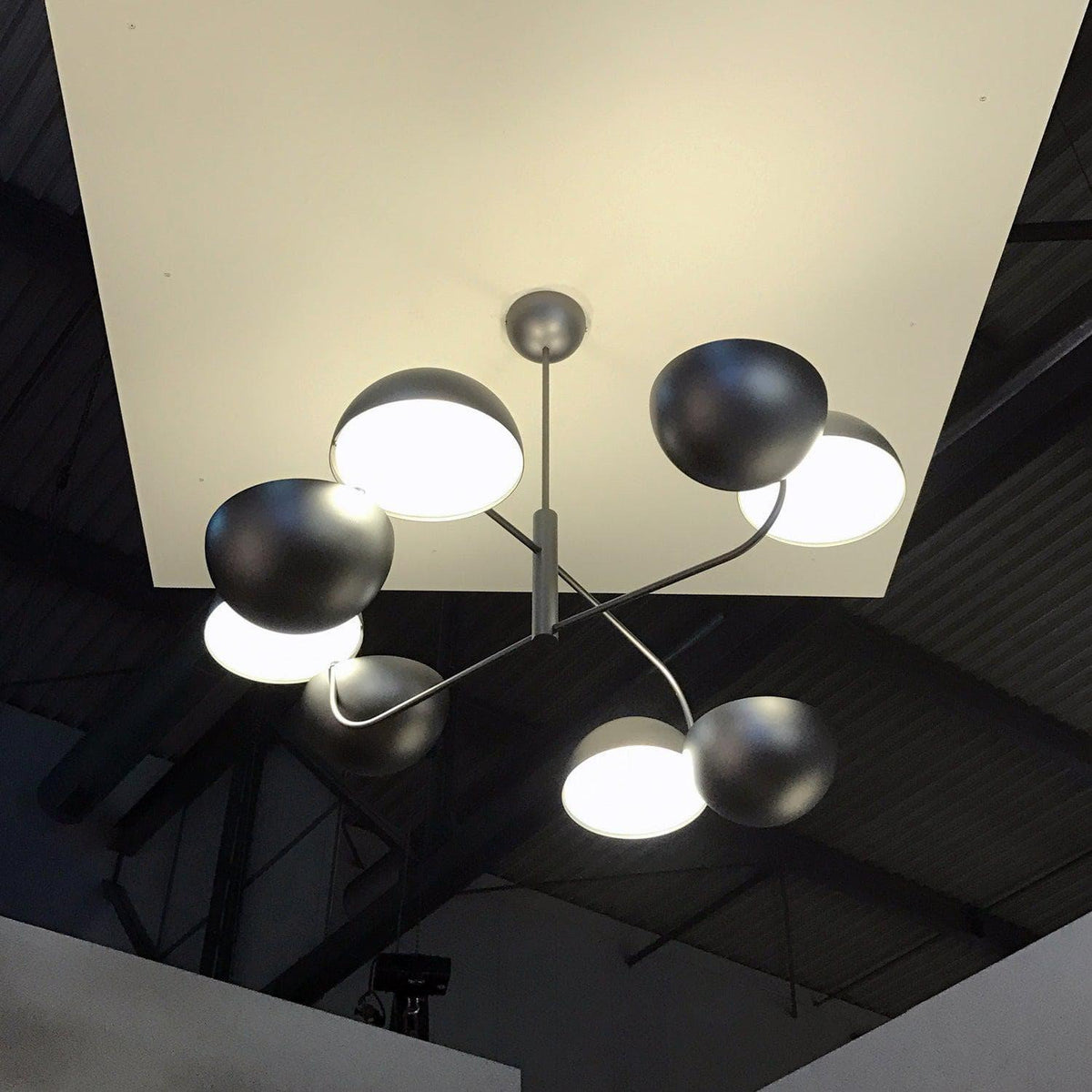 Metavaya Pendant light Dia 80cm x H 30cm / Black Elisabeth Pendant Light 653733214888 P2021122501-1