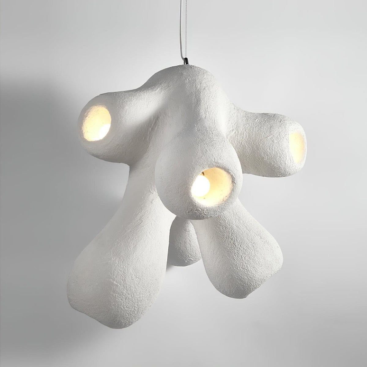 Metavaya Pendant lamp Fertility Pendant Lamp Fertility Form Pendant Light & Lamp for Online Sale