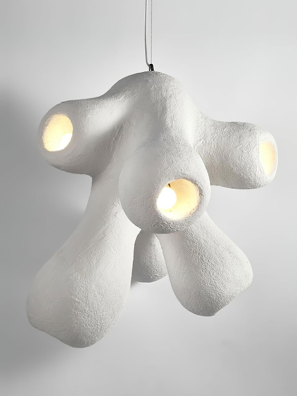 Metavaya Pendant lamp Fertility Pendant Lamp Fertility Form Pendant Light & Lamp for Online Sale