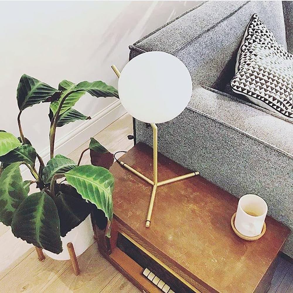 Metavaya Table lamp IC Table Lamp Best IC Table Lamp Online