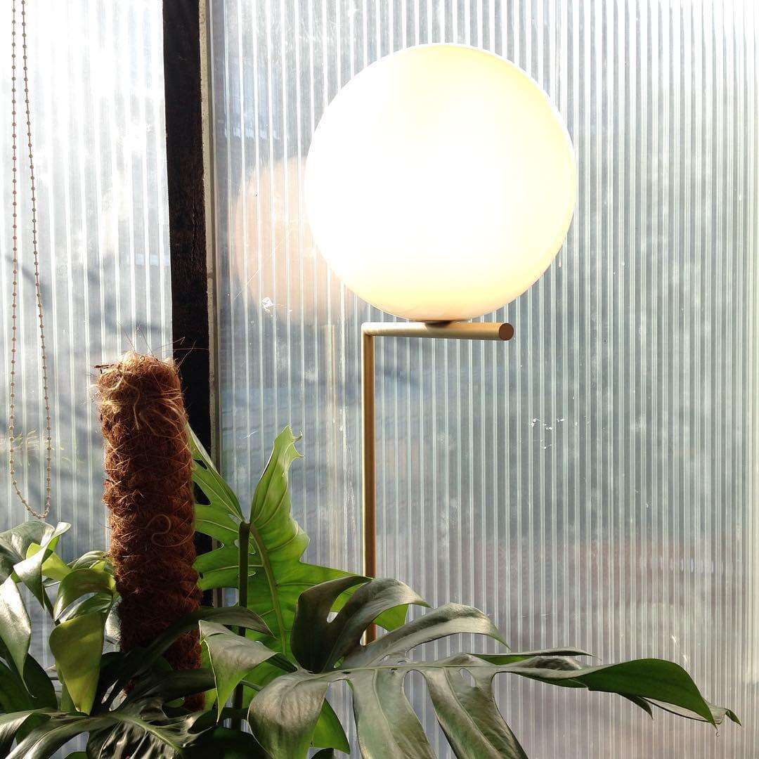 Metavaya Floor lamp Ic Floor Light Buy IC Floor Light Online