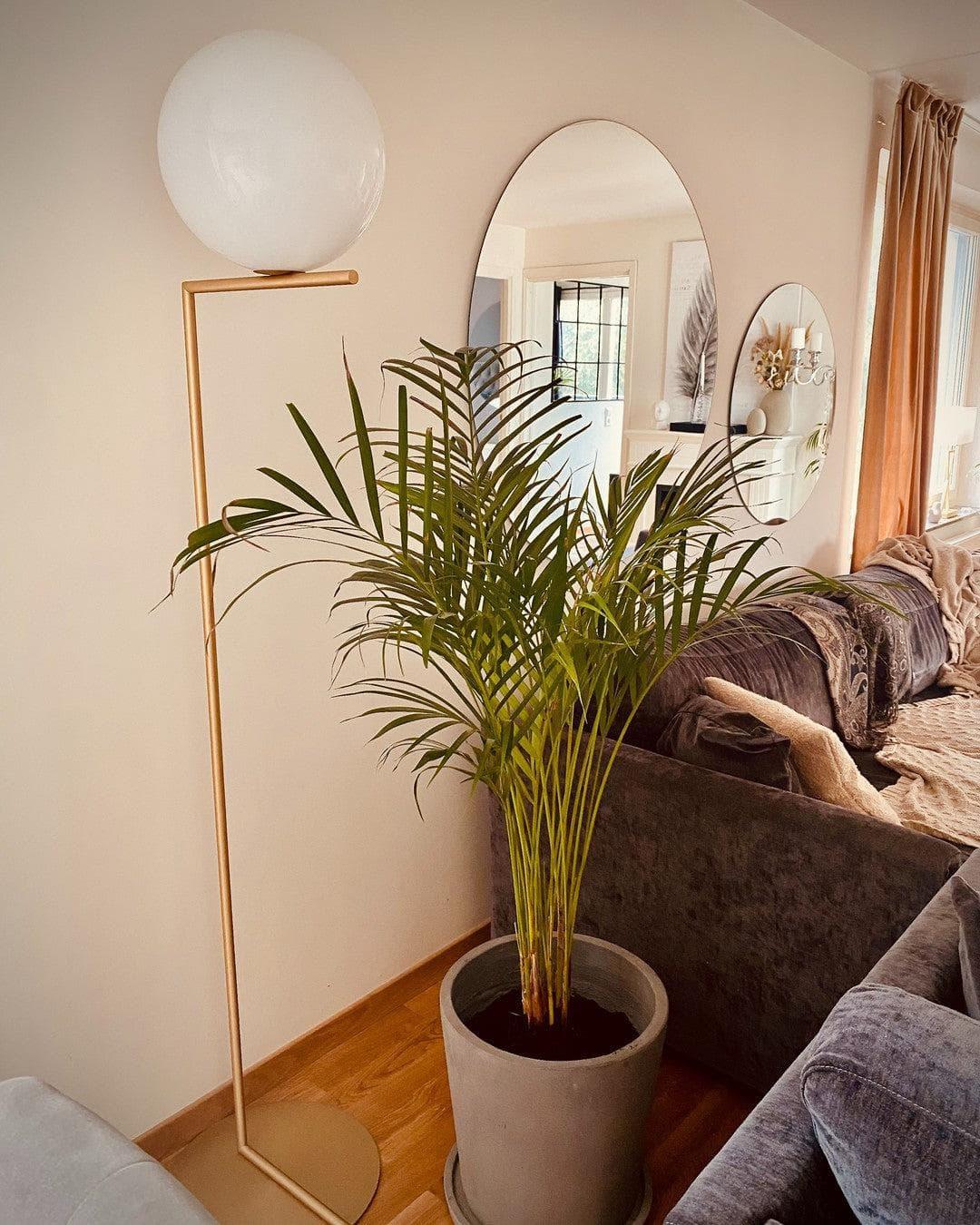 Metavaya Floor lamp Ic Floor Light Buy IC Floor Light Online