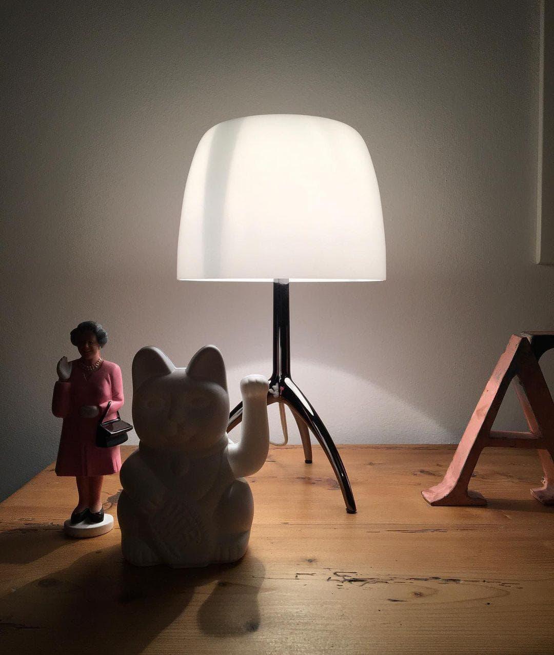 Metavaya Table lamp Lumiere Table Lamp Buy Lumiere Table Lamp Online in USA