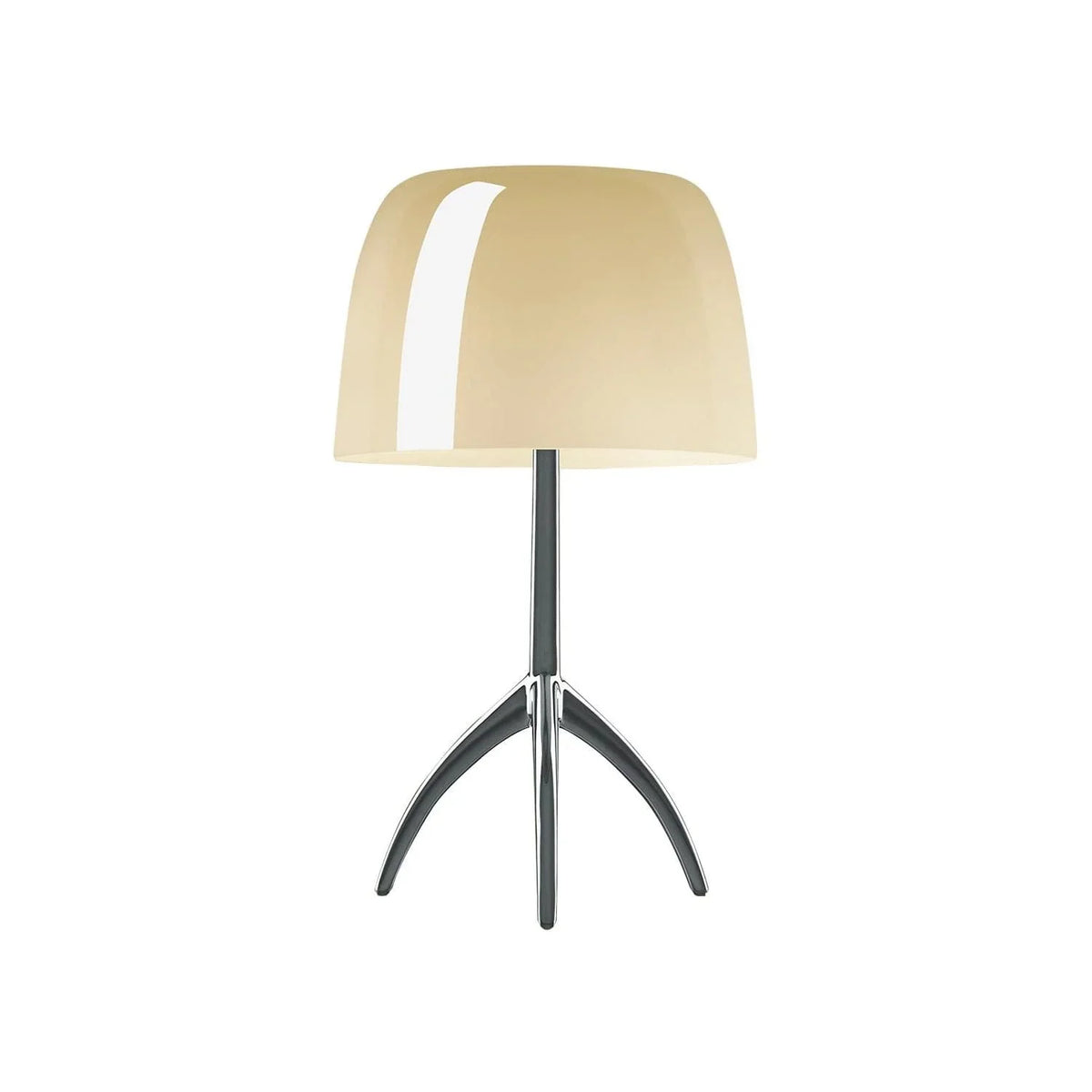 Metavaya Table lamp Dia 26cm x H 45cm / Beige / US plug Lumiere Table Lamp 822706698172 M2022091904-29 Buy Lumiere Table Lamp Online in USA