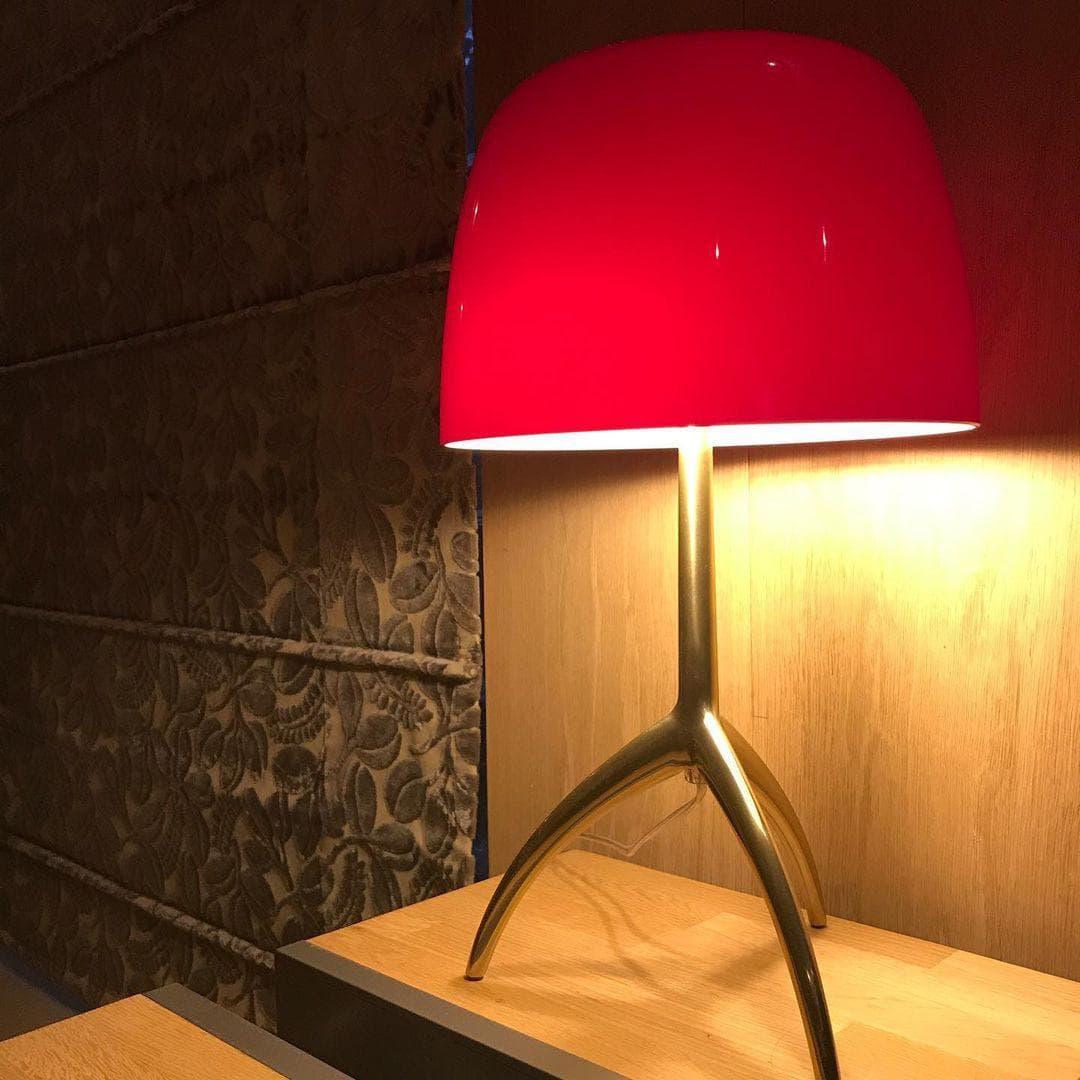 Metavaya Table lamp Lumiere Table Lamp Buy Lumiere Table Lamp Online in USA