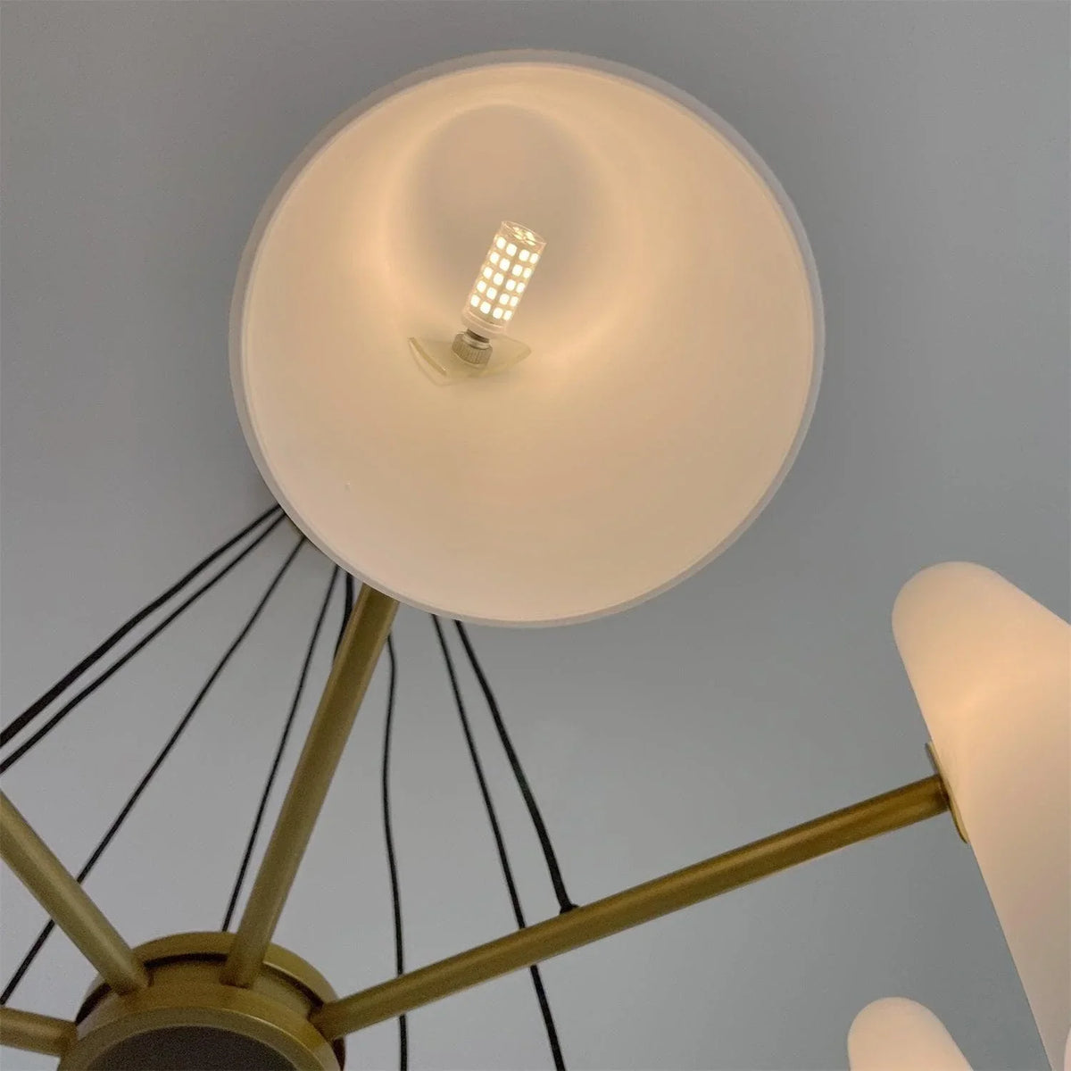 Metavaya Chandelier Montfaucon Chandelier Shop Montfaucon Chandelier Online