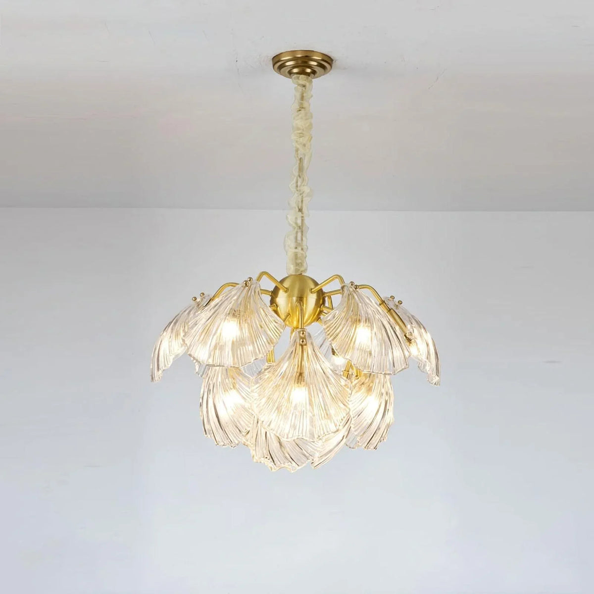 Metavaya Chandelier 20 Lights Dia 82cm x H 50cm / Φ 32.3″ x H 19.7″ / Iron / Clear glass Ribbed Shell Ceiling light 676702838182 M202302263-8
