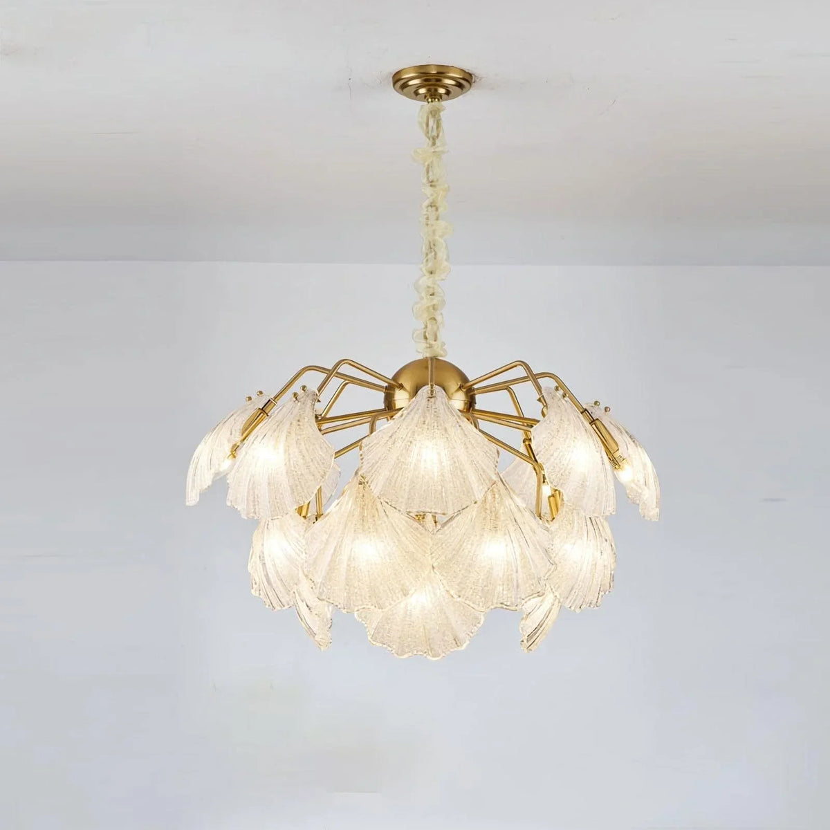 Metavaya Chandelier 20 Lights Dia 82cm x H 50cm / Φ 32.3″ x H 19.7″ / Iron / Paste drill glass Ribbed Shell Ceiling light 676702838199 M202302263-9