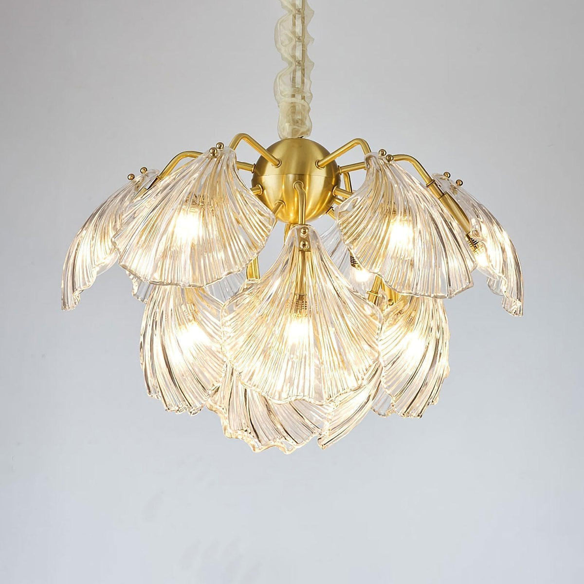 Metavaya Chandelier Ribbed Shell Ceiling light