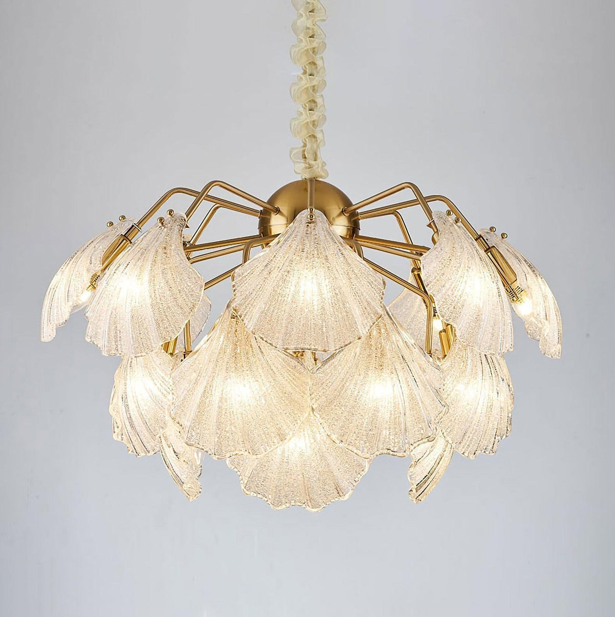 Metavaya Chandelier Ribbed Shell Ceiling light