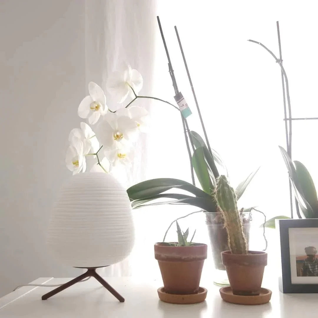 Metavaya Table lamp Rituals Table Lamp Rituals Table Lamps for Sale Online