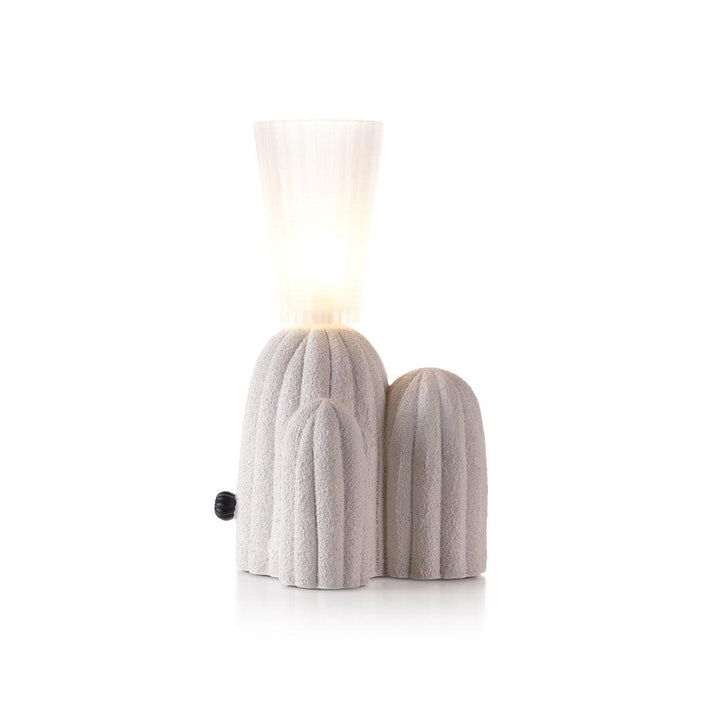 Metavaya Table lamp RBS Cactus Lamp RBS Cactus Lamp | Discount Sale