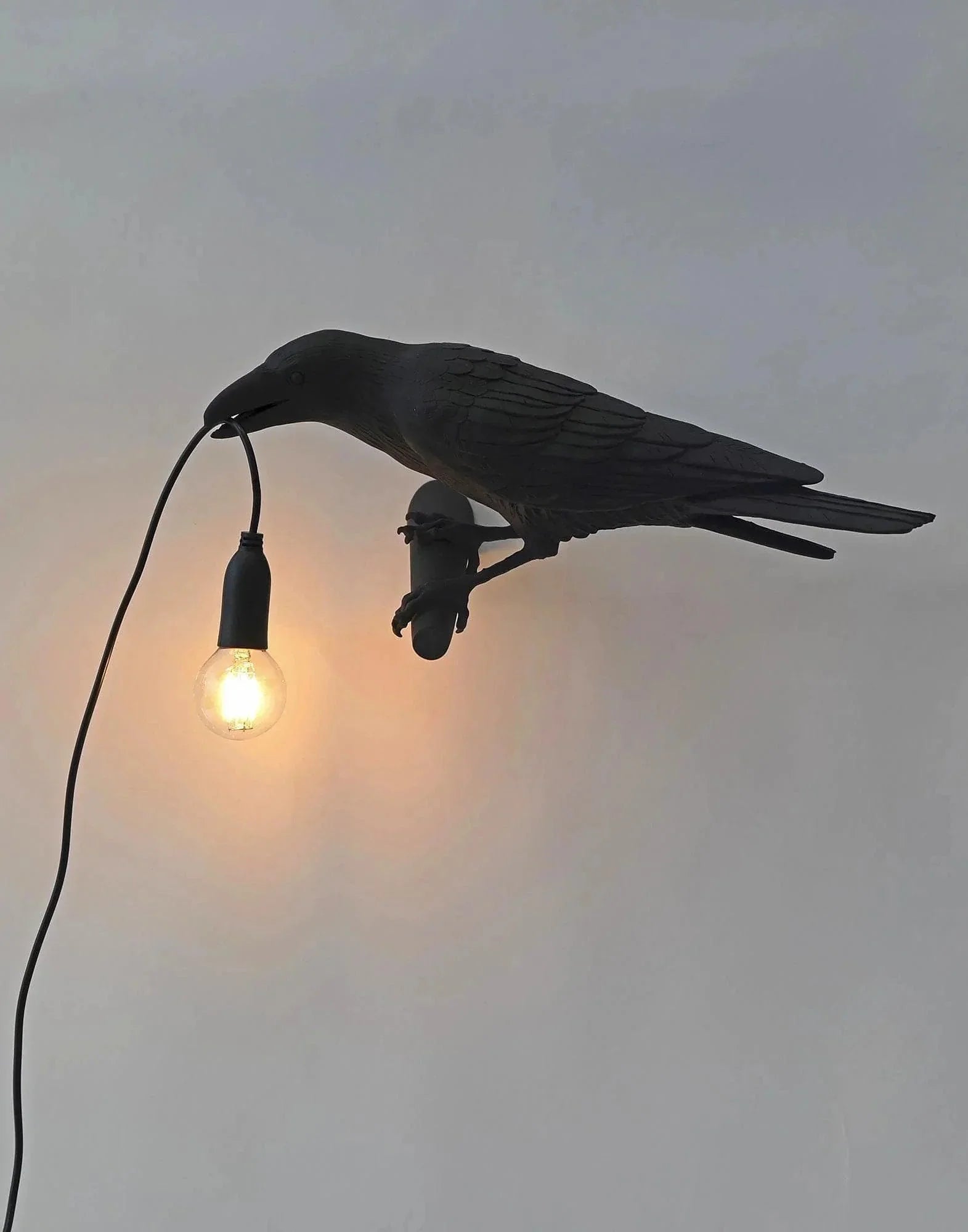 Buy Bird Wall Light Online – Metavaya